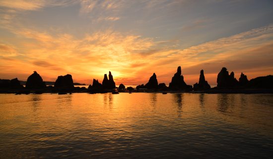 フォトギャラリー｜メルキュール京都宮津リゾート＆スパ